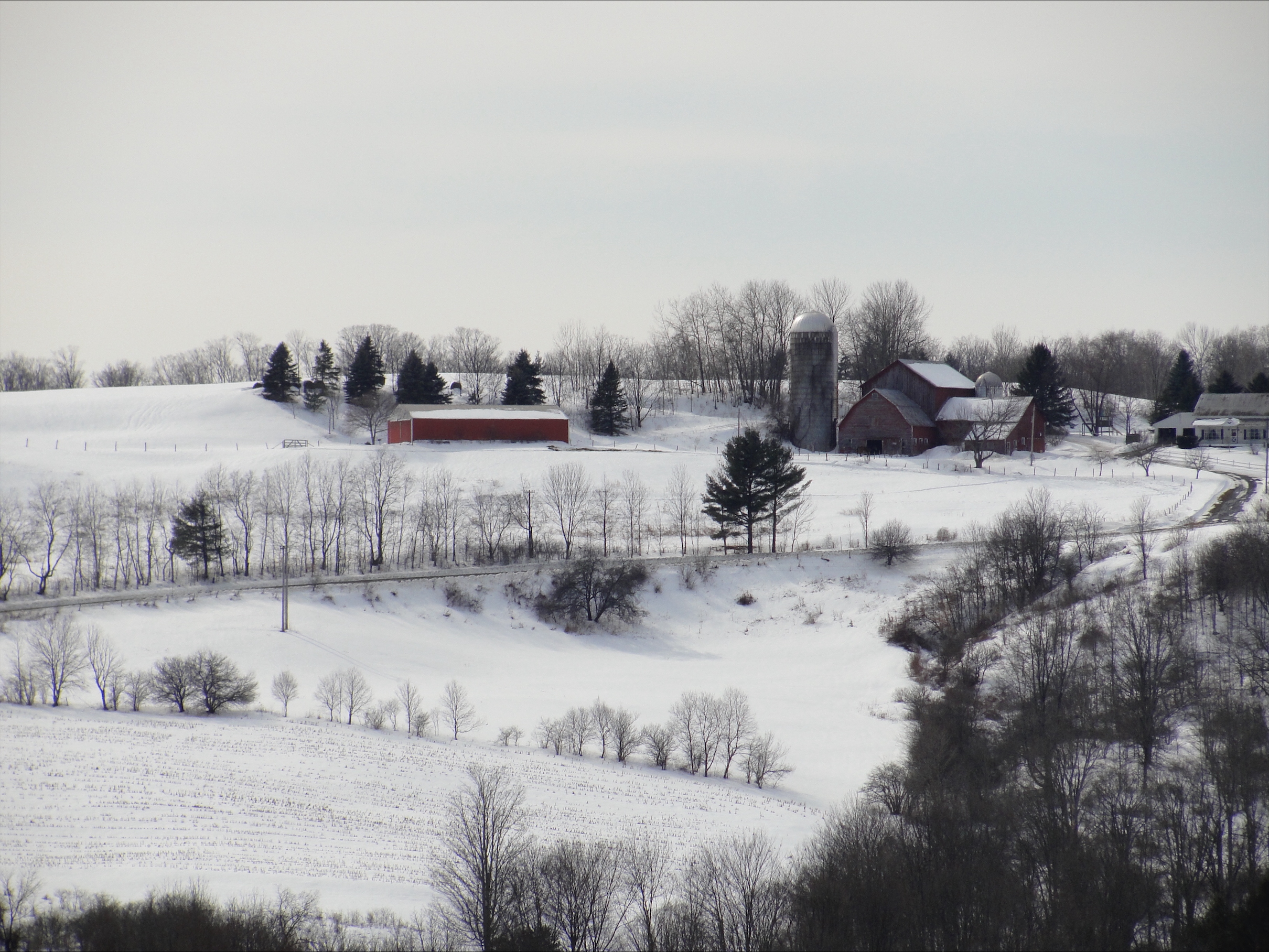 Winter