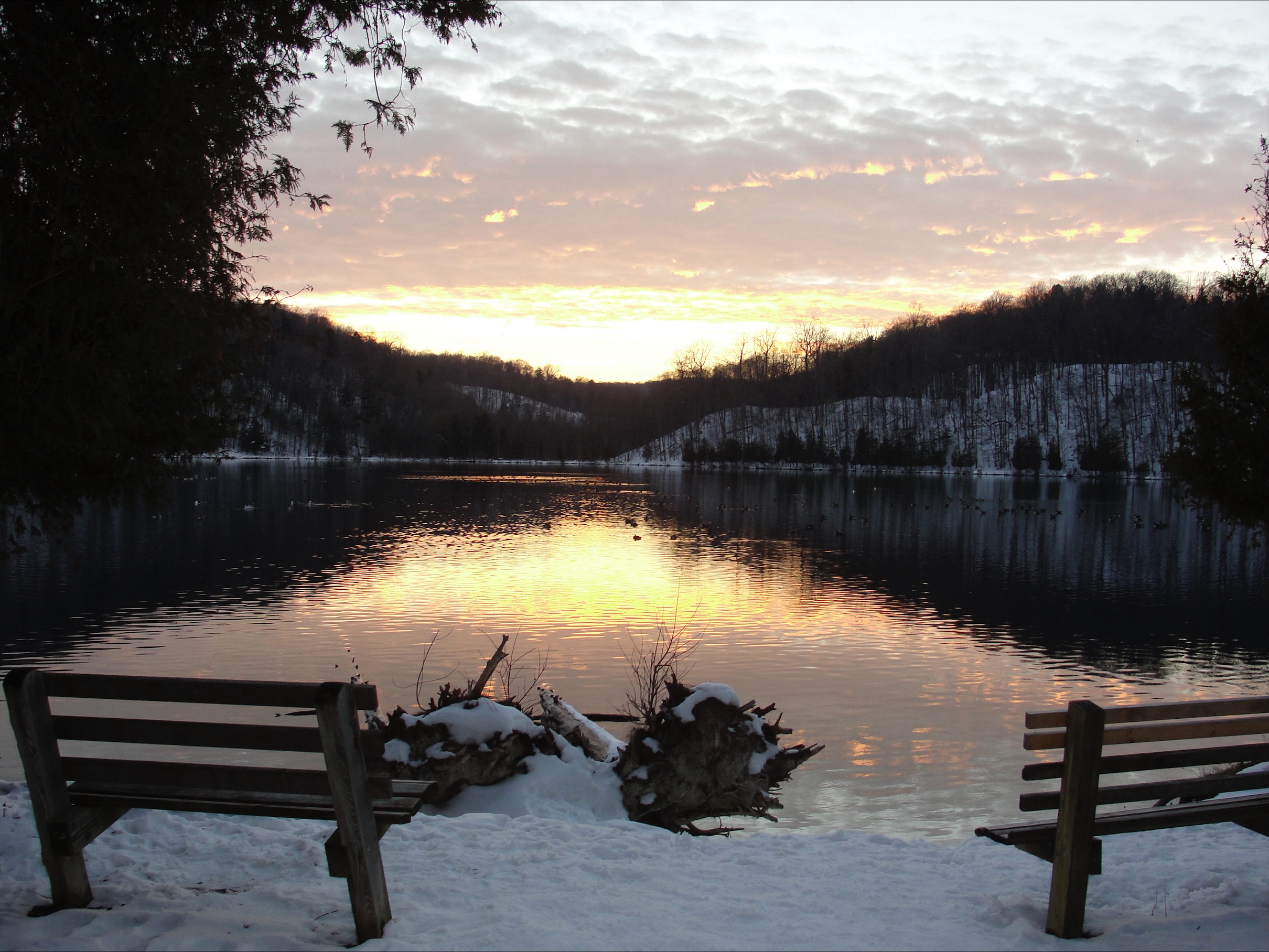 Winter
